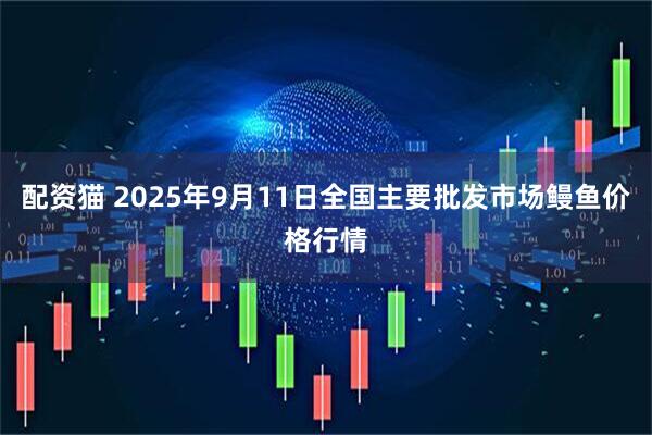 配资猫 2025年9月11日全国主要批发市场鳗鱼价格行情