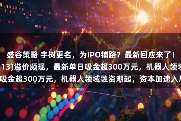 盛谷策略 宇树更名，为IPO铺路？最新回应来了！机器人ETF基金(159213)溢价频现，最新单日吸金超300万元，机器人领域融资潮起，资本加速入局！