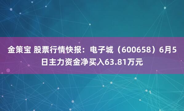 金策宝 股票行情快报：电子城（600658）6月5日主力资金净买入63.81万元