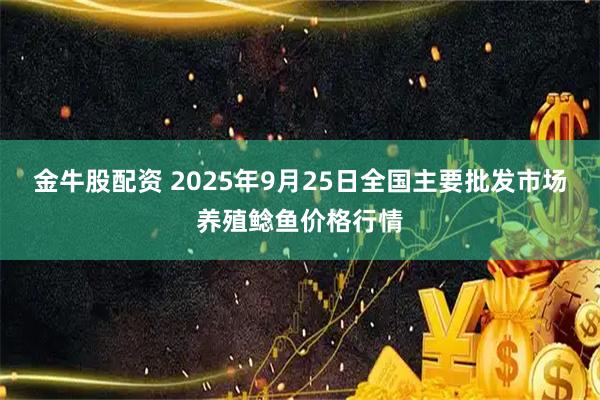 金牛股配资 2025年9月25日全国主要批发市场养殖鲶鱼价格行情