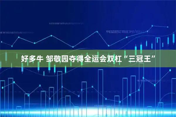 好多牛 邹敬园夺得全运会双杠“三冠王”