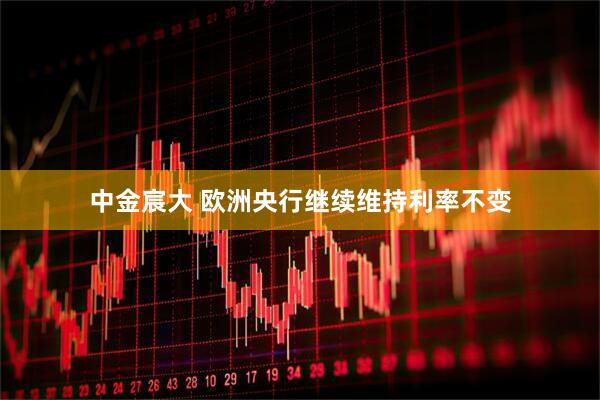 中金宸大 欧洲央行继续维持利率不变